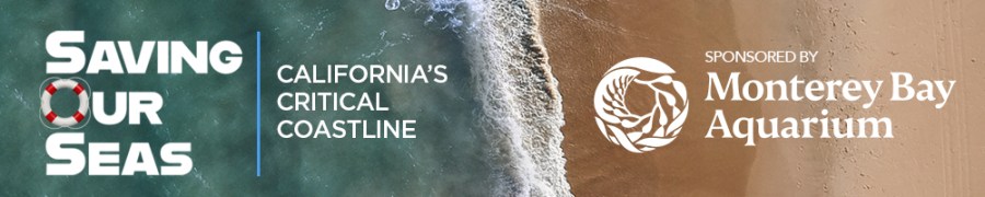 Saving Our Seas