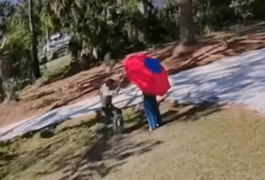 Hawk Attack