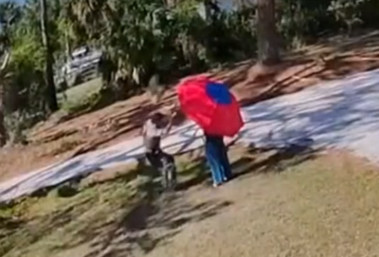 Hawk Attack